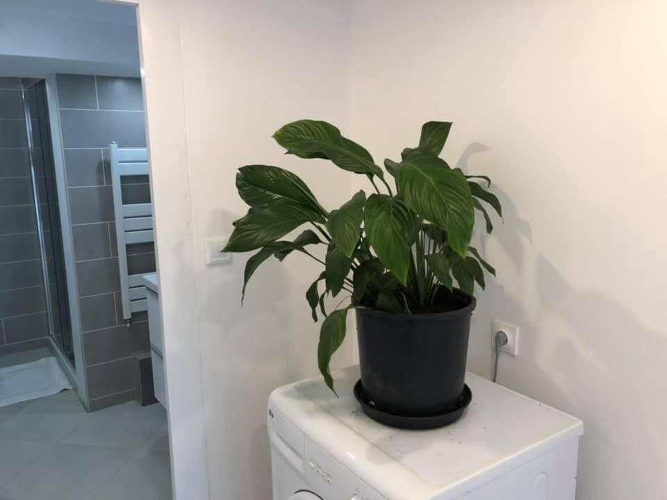 Les Terrasses D'Angouleme Bed & Breakfast Dış mekan fotoğraf